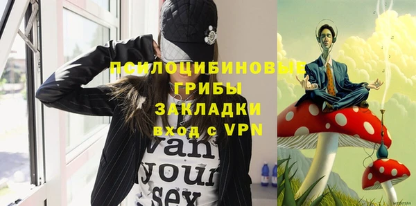 прущие крисы Зеленодольск