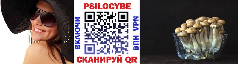 Купить где  Бугуруслан  Псилоцибиновые грибы Cubensis 